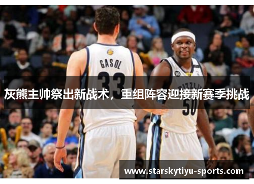 灰熊主帅祭出新战术，重组阵容迎接新赛季挑战